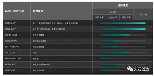 car t 系列终篇 研发格局及国内标的选择